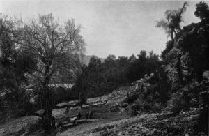 Hag. Nikolaos-Quelle, südlich vom Vlicho-Hafen.