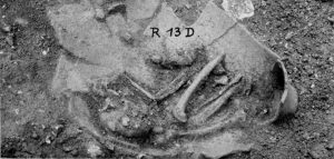 Pithos R 13 D.