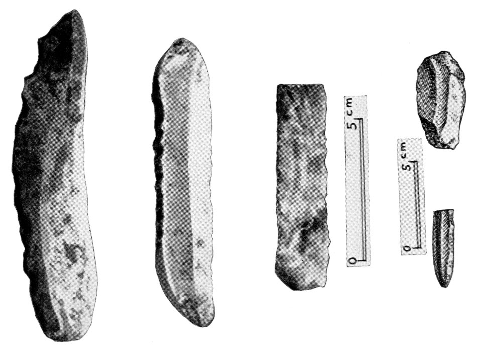 <p>
W. Dörpfeld, <em>Alt-Ithaka</em> (1927), vol. II, pl. 59c</p>