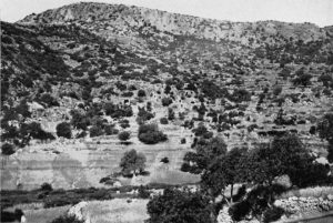 Tombs and Other Remains at Agios Kirkos (Lissos)