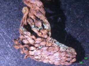 Spandidaki-Tapestry-Tomb-N-