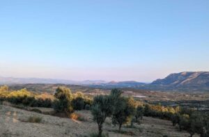 Argos and the Argive plain as seen from Malandreni in 2023.